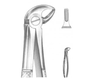 Extracting Forceps English pattern